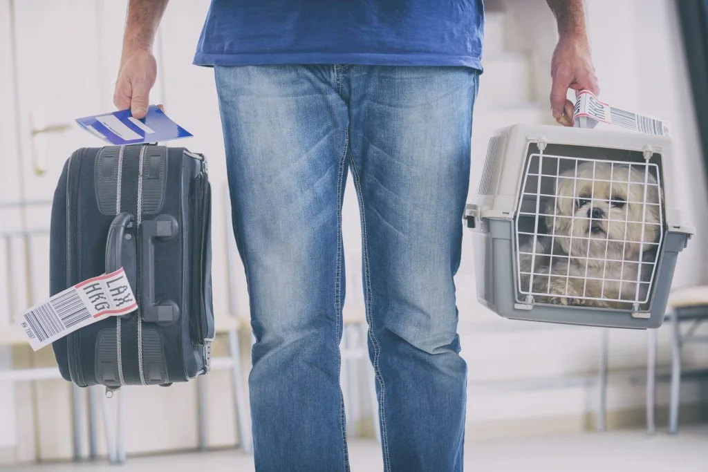 Hombre sostiene con sus manos una valija y una transportadora para mascotas