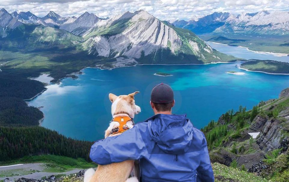 Hombre abraza su mascota mientras admira un hermoso paisaje