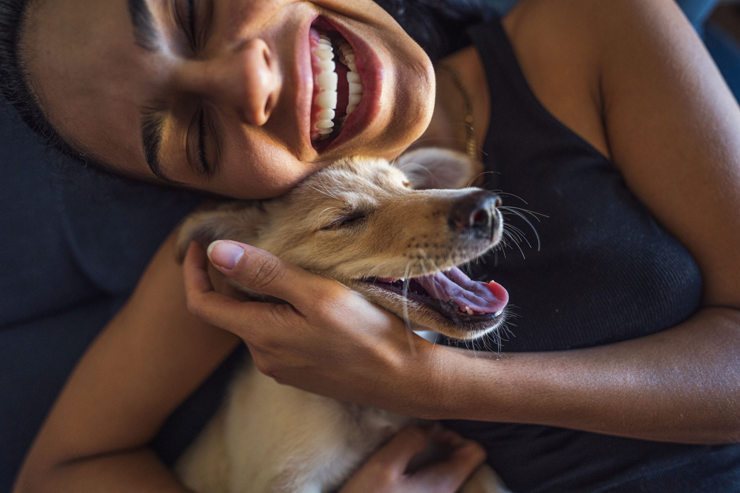 La Salud y Nutrición de Mascotas: Tendencias Actuales y Consejos para un Cuidado Óptimo