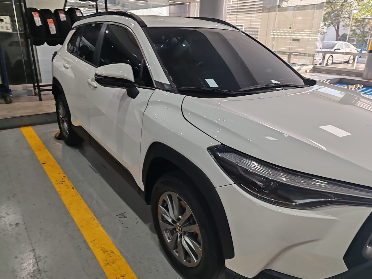 WhatsApp Image 2026-01-29 at 17.24.20 (1)