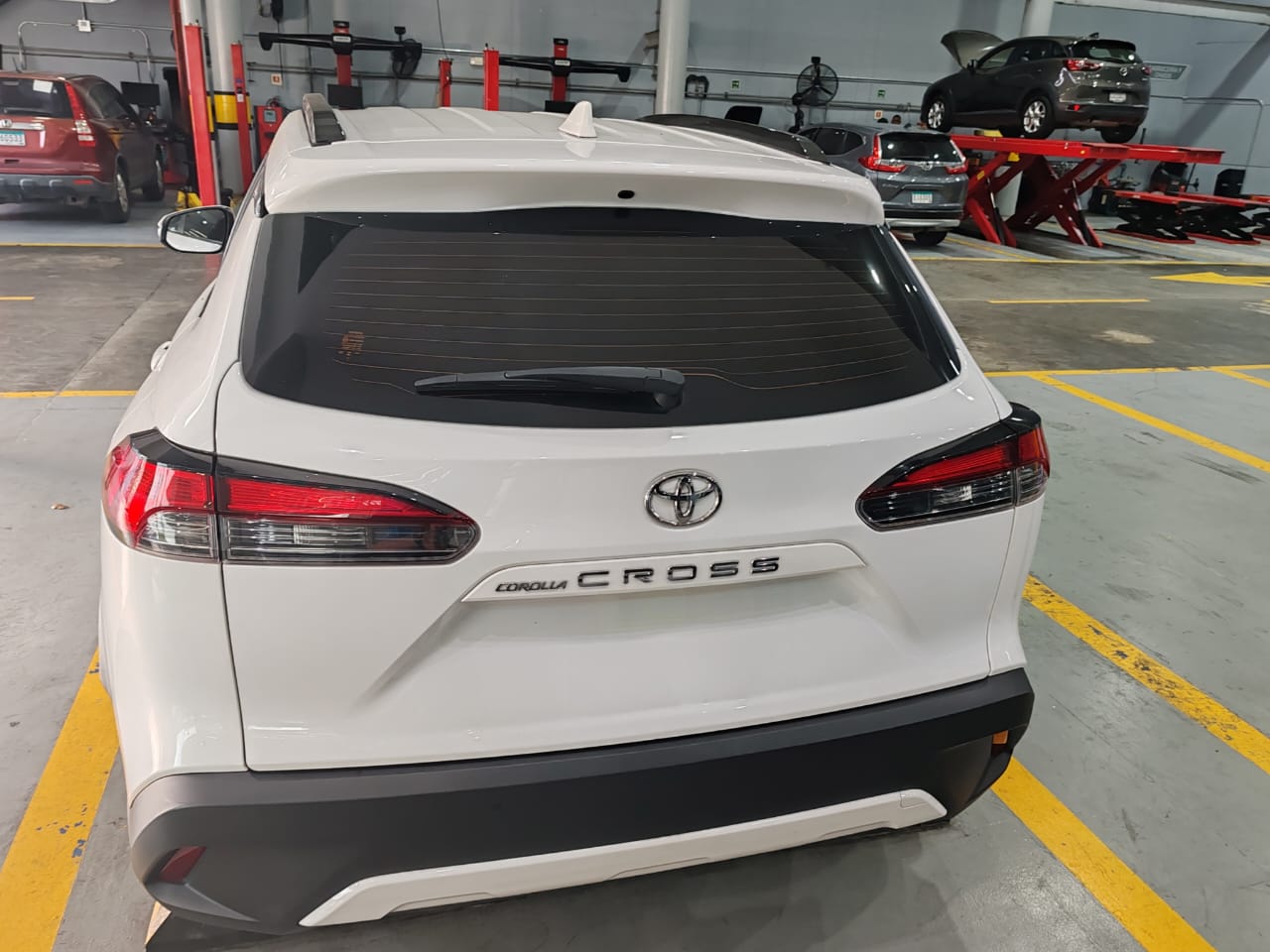 WhatsApp Image 2026-01-29 at 17.24.20 (2)