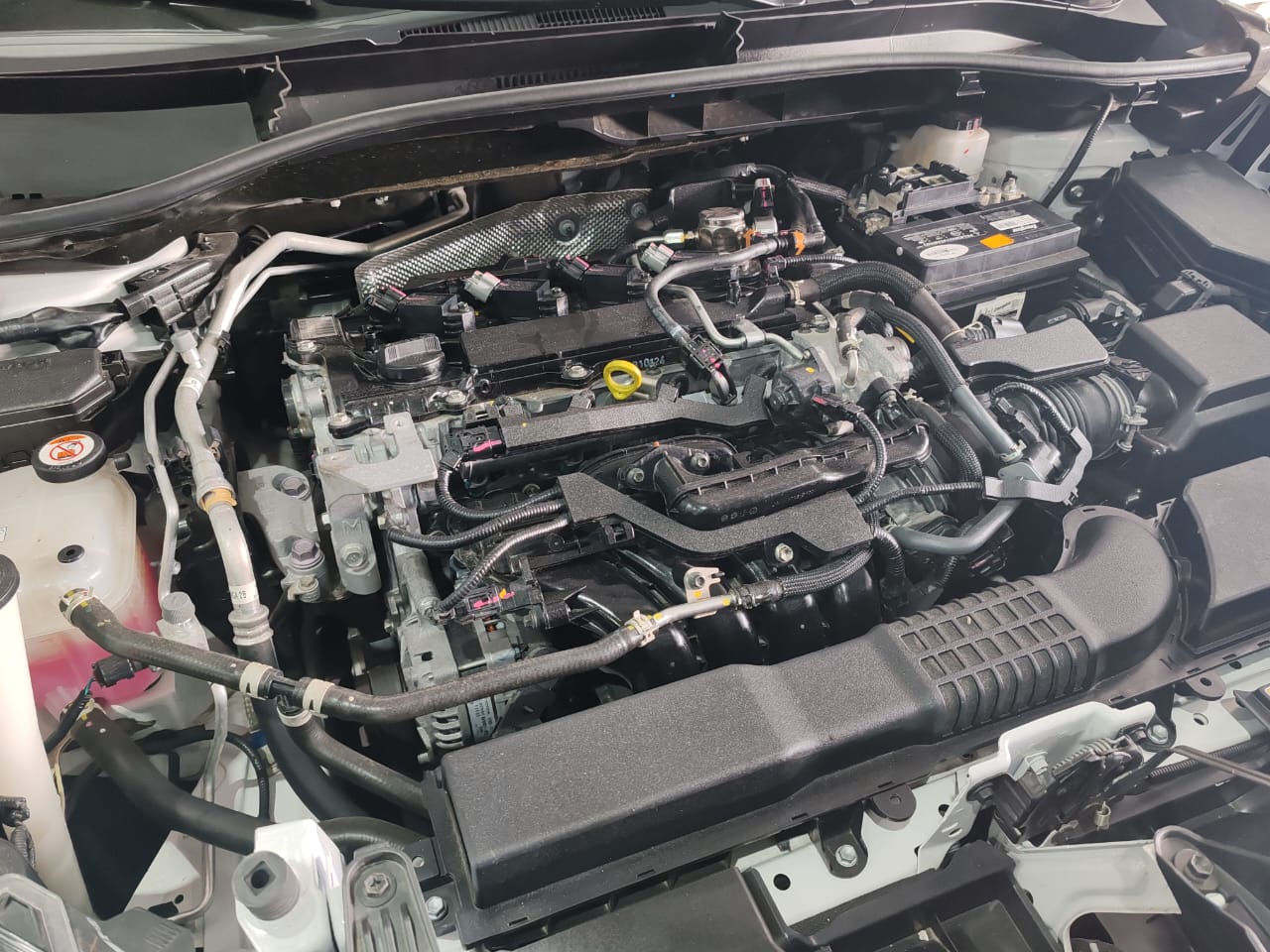 WhatsApp Image 2026-01-29 at 17.24.21 (2)